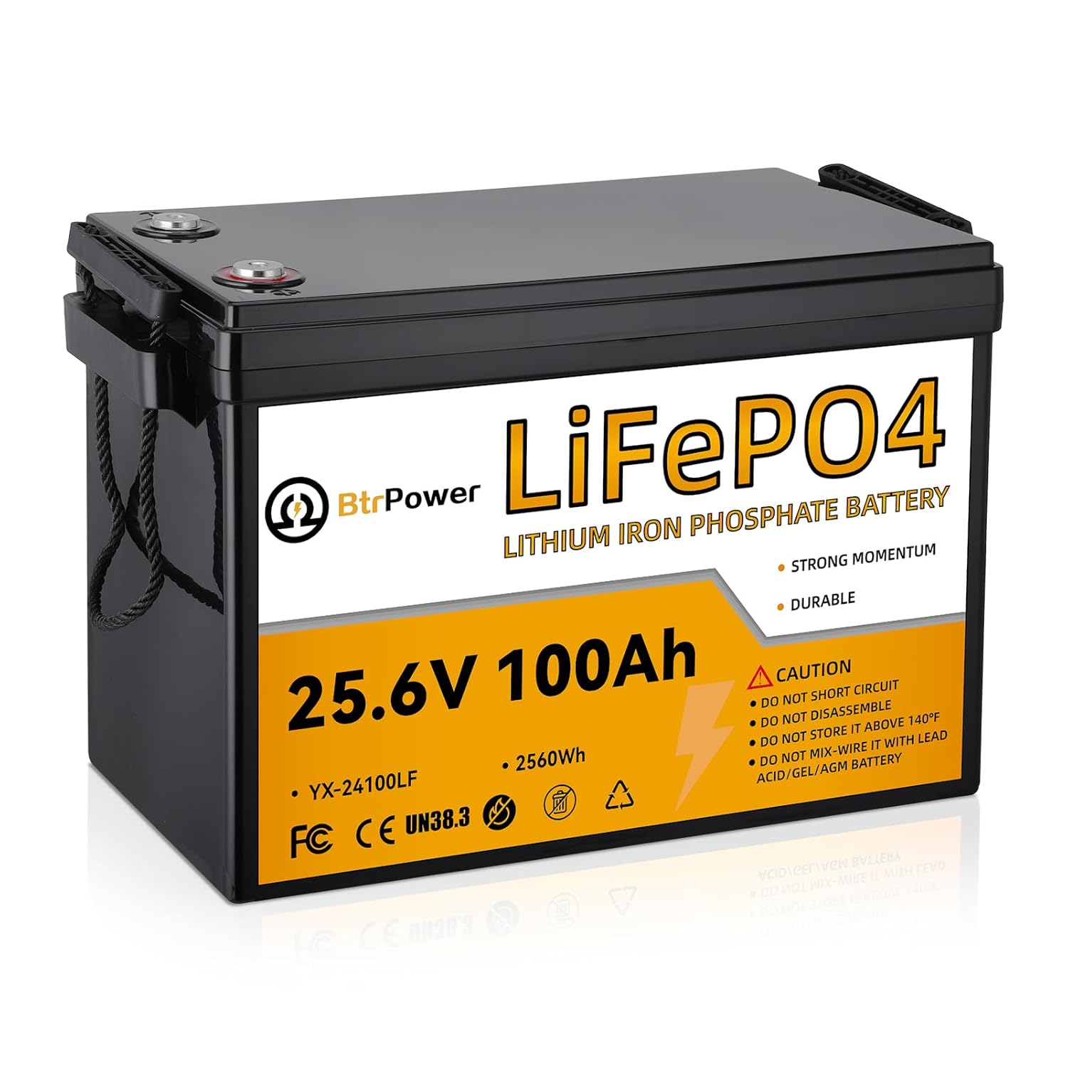Lithium Battery 100Ah - 24V 100Ah Lityum LiFePO4 Pil, 8000+