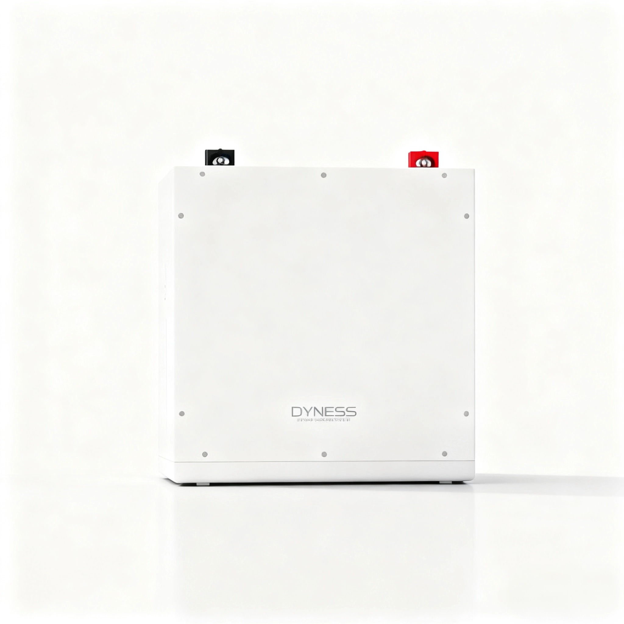 Dyness DL5.0C 1C Lityum İyon P - Lithium Battery 100Ah incelemesi ve fiyatı