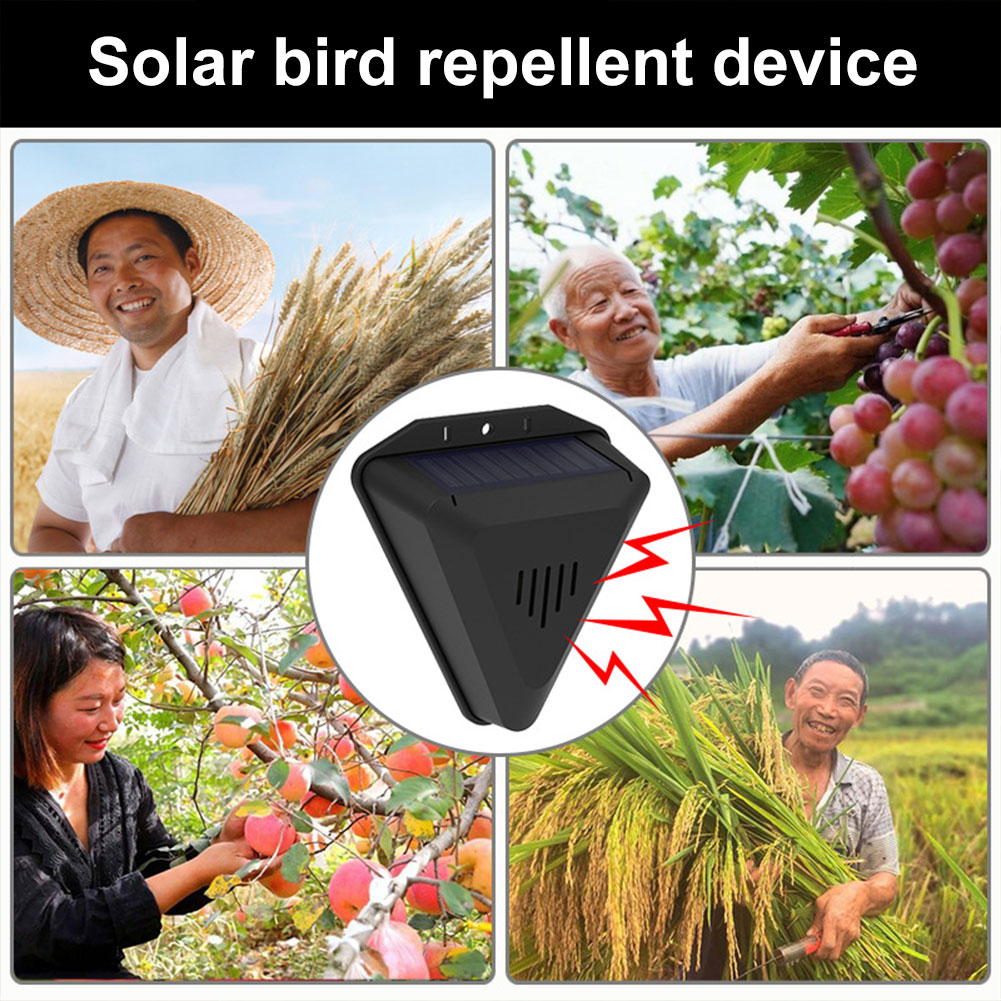 13 Sesli Kuş Alarmı ile Güneş  - Solar Panel Monocrystalline incelemesi ve fiyatı